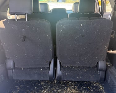 dirty cargo area before