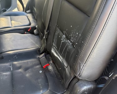 dirty backseat before