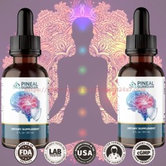 Descrição para Penial Guardian now