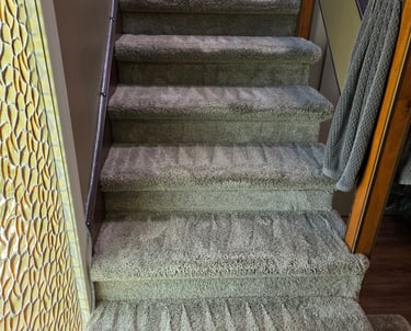 Carpet fibers after professional steam cleaning