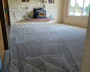 Freshly cleaned living room carpet after professional steam cleaning