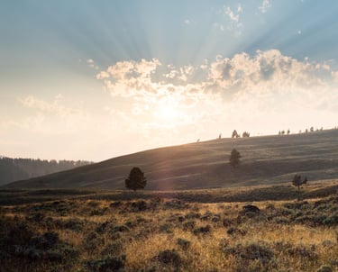 Sl 121 mostra o viajante olhando para os montes (horizonte).