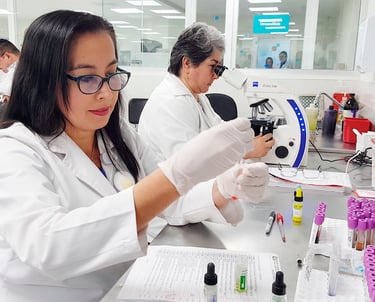 Bolsa de Trabajo IMSS Trabajar en el IMSS Vacantes IMSS como trabajar en el IMSS