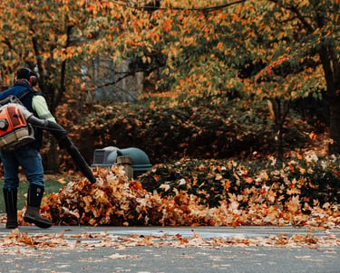 Professional fall landscaping maintenance crew operating in the GTA