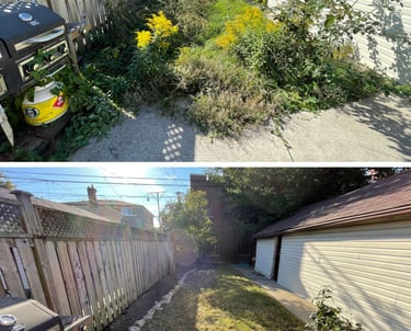 Our professional landscaping team performing full property revitalizing services in Ontario