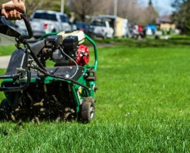 Professional equipment for lawn restoration