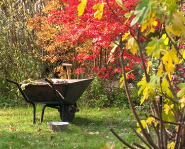 Garden bed winterization and final mowing service by Avenue Seasons