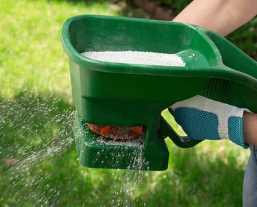 Applying organic slow-release fertilizer for healthy GTA lawns