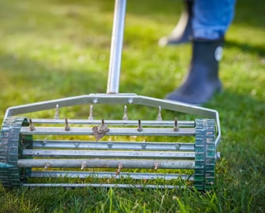 Core aeration process on a residential lawn