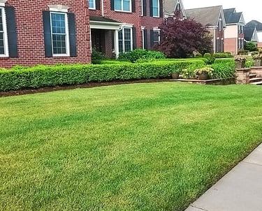 Clean-cut lawn maintenance with manicured privacy hedges and professional edging for a brick home