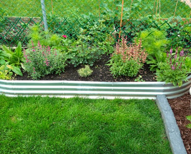Overgrown garden bed before professional care in Toronto by Avenue Seasons