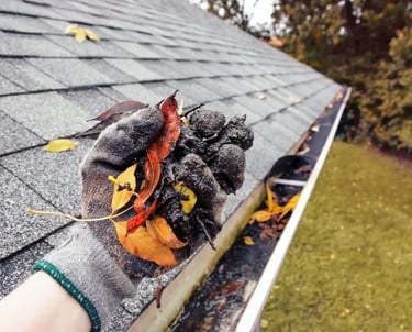 Clogged gutter filled with leaves and debris needing cleaning