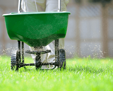 Professional granular fertilizer application in Toronto by Avenue Seasons Inc.