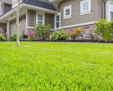Close-up of a perfectly mowed and healthy green lawn in a suburban Toronto neighborhood
