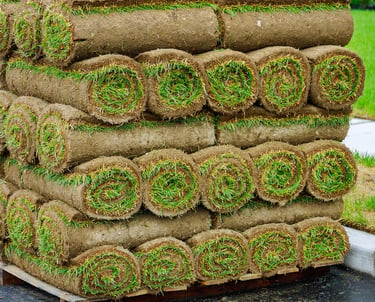 Rolls of premium sod stacked and ready for installation