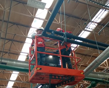 En planta haciendo mantenimiento