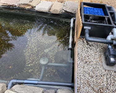 A biological pond filter system with blue media and PVC plumbing installed beside a gravel-lined garden pond.