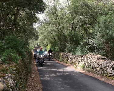 Guided motorcycle tour riding through a scenic road in Menorca