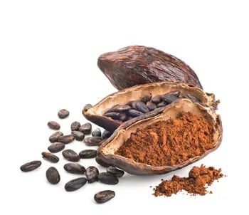 cocoa extract, botanical extract