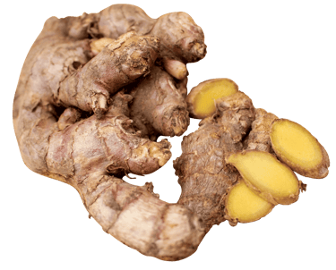 red ginger extract, botanical extract