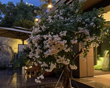Natural garden with layered plants at different heights, adding texture, movement, and seasonal inte