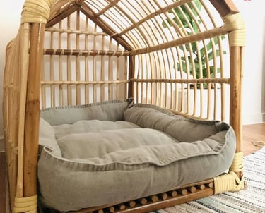 Cozy pet-friendly outdoor corner with calm evening lighting and soft textures, inspired by warm European outdoor living