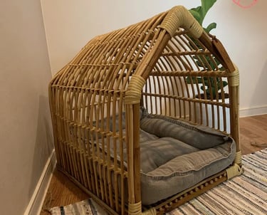 Cozy pet-friendly outdoor corner with calm evening lighting and soft textures, inspired by warm European outdoor living