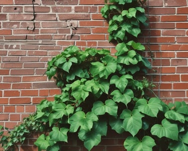 a man riding a skateboard down the side of a ramp