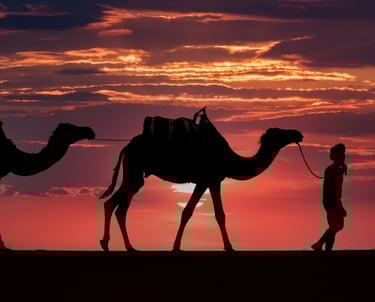 Roteiros exclusivos para brasileiros