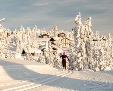 Langlaufloipen im Ferienhausgebiet
