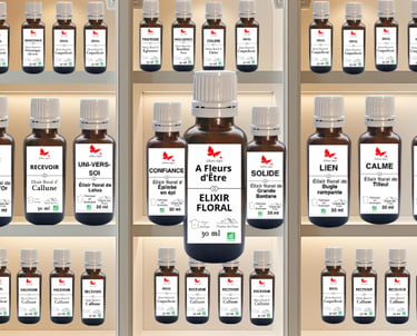"Gamme de 22 élixirs floraux artisanaux L'Âme-Agie, certifiés PPAM, flacons 30 ml."