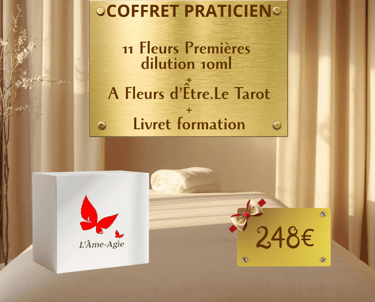 "Coffret 11 élixirs, tarot et livret - L'Âme-Agie Sylvie Salvazes"