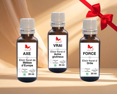 Flacon axe, vrai, force, L'Âme-Agie.
