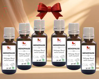 Offre cure de 6 mois mélanges floraux pour un équilibre durable, création Sylvie Salvazes.