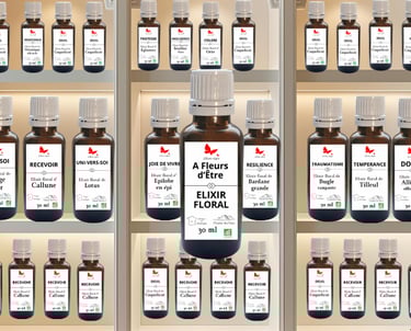 Élixirs floraux artisanaux L'Âme-Agie, créations naturelles de Sylvie Salvazes en Auvergne.