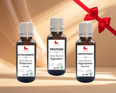 Pack de 3 élixirs floraux artisanaux pour une cure de 3 mois par Sylvie Salvazes.