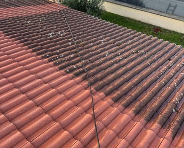 demoussage toiture lyon 