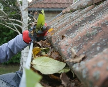 nettoyage gouttière Lyon