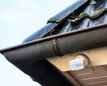 nettoyage gouttiere zinc lyon