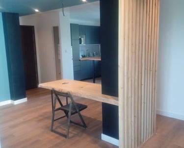 renovation appartement