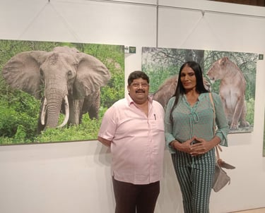 Rajesh Kaithwas Foundation