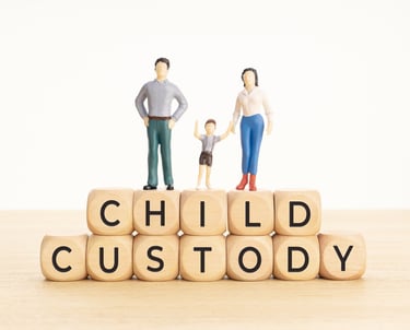 Child Cutody and Support Documentation