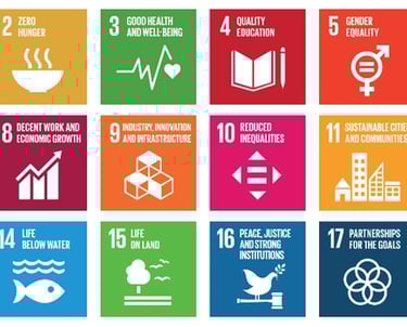 Sustainable Development Goals by United Nations SDGs TreeAndHumanKnot Reinventing Sustainability 