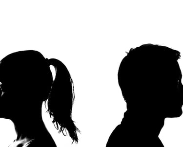 wikifaith-encyclopedia-wikipedia-wikileaks-divorce