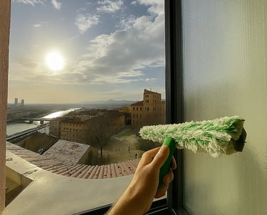 Nettoyage vitres et panneaux solaires à Saint-Genis-Pouilly