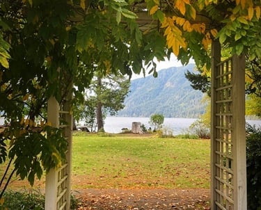 a wooden arbor arbor 