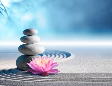 Life transformation program