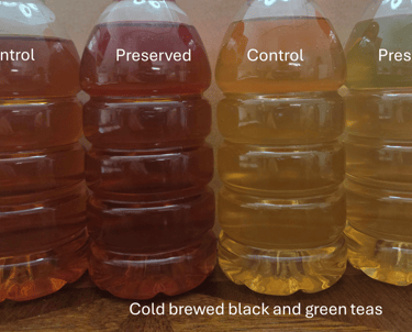 black and green tea, cultured dextrose