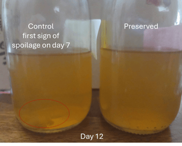 tea preserved by cultured dextrose