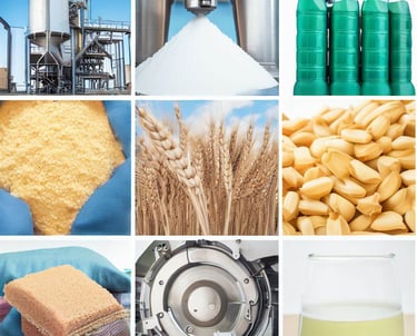 a collage of pictures of different types of food